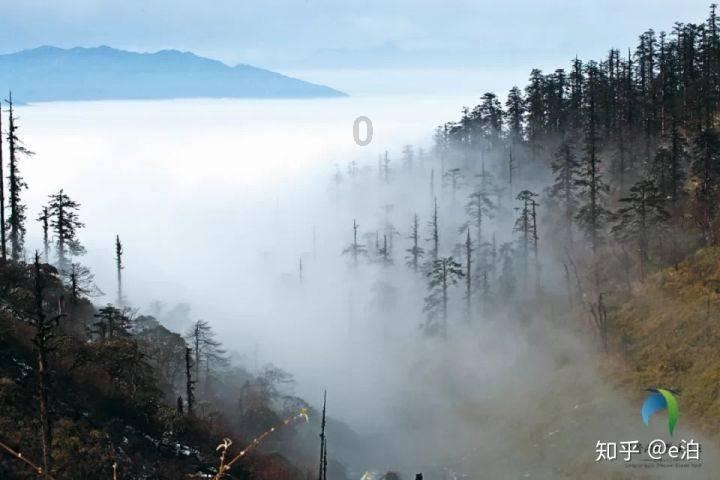 各种颜色用英语怎么说？游戏画面