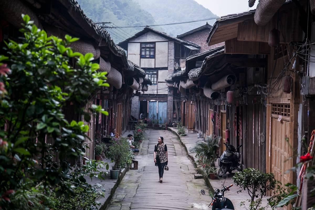 拯救受伤的猫